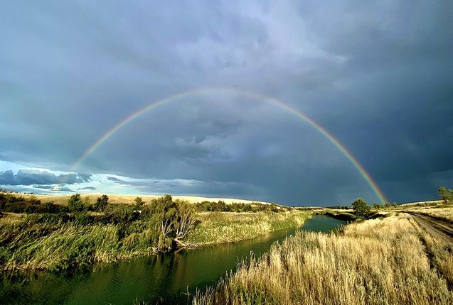Каждая 6-я пачка макарон в России – саратовская. Визит министра сельского хозяйства РФ