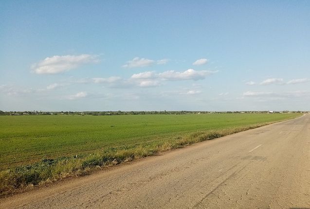 Каждая 6-я пачка макарон в России – саратовская. Визит министра сельского хозяйства РФ