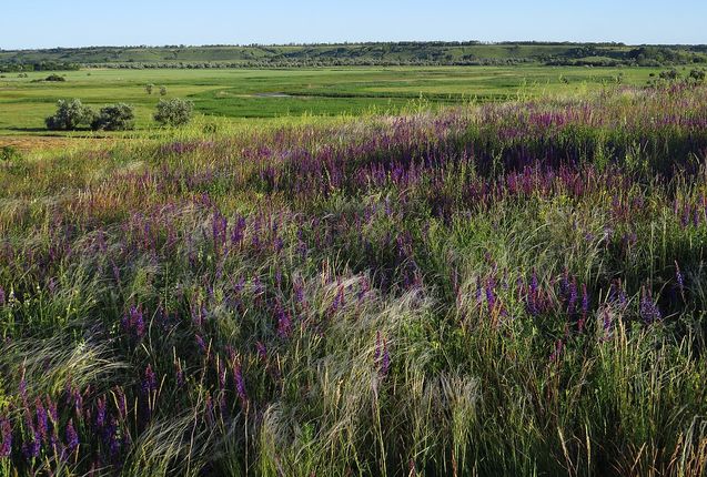Яичный бум. Лысогорская птицефабрика в 2 раза увеличивает мощности